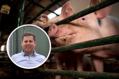 Dalibor Vrček izabran za predsjednika Središnjeg saveza udruga uzgajivača svinja