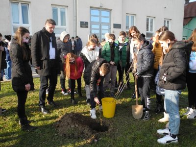 Grad Varaždin podržava razvoj svijesti đaka o važnosti sadnje drveća