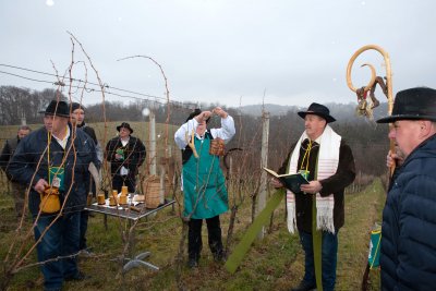 Veselica u Zlatnim goricama: Dok je Boga i pravice išli bumo vu gorice!