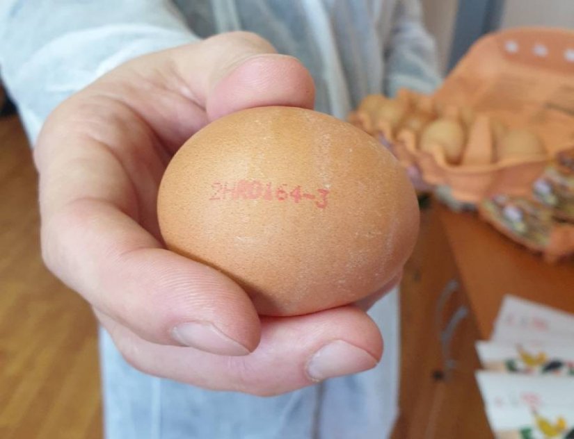 FOTO Jaja tvrtke Luneta iz Svetog Đurđa prva s oznakom "Dokazana kvaliteta"