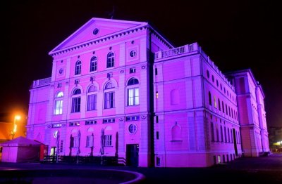 Grad Varaždin se pridružio akciji „Osvijetlimo epilepsiju“, HNK večeras u ljubičastom