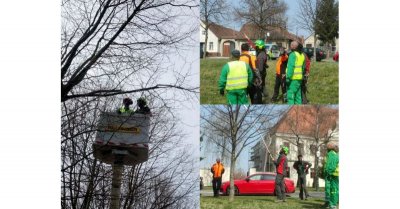 Zaposlenici Parkova educirani o najnovijim europskim standardima za orezivanje drveća
