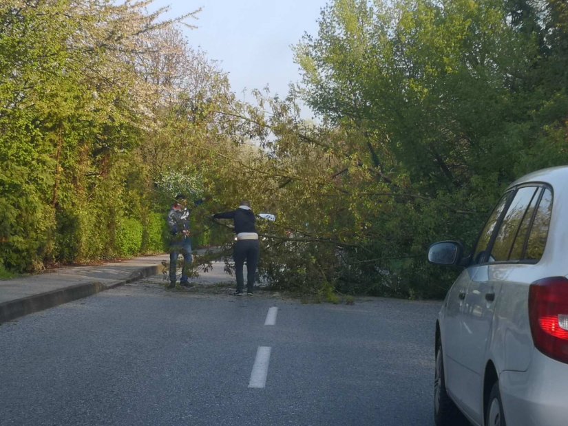 Oprez vozačima u prometu, srušilo se drvo u Bombellesovoj cesti u Varaždinu