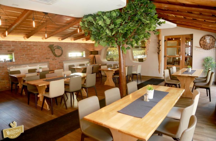 Restoran Bajzovi dvori: Bogat izbor jela, moderan prostor i ljubazno osoblje!