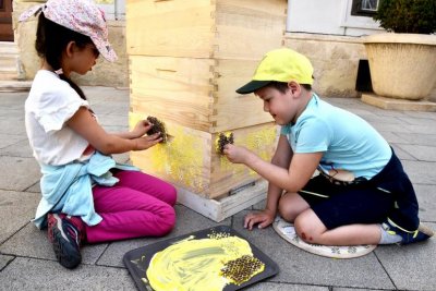 FOTO Svjetski dan pčela u Varaždinu obilježen uz dječju pjesmu i oslikavanje košnica