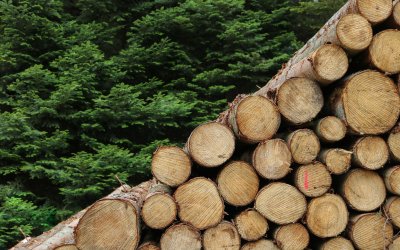Ugovori vrijedni 29 milijuna kuna za ulaganja u sektore prerade drva i proizvodnje namještaja