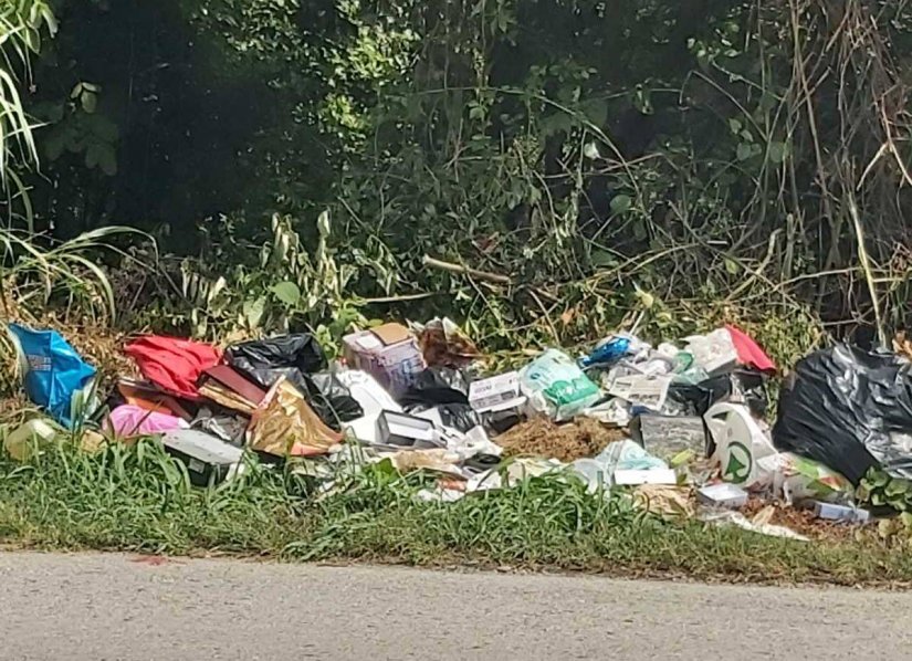 FOTO "Netko je upravo istovario prikolicu smeća u Dravsku park &scaron;umu!"