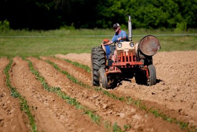 GRAD VARAŽDIN Objavio Javni poziv za dodjelu potpora poljoprivrednicima