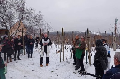 VIDEO, FOTO Vincekovo na Lovrečan bregu Udruge vinogradara i vinara „Sv. Martin“