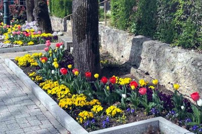 FOTO Varaždinske Toplice u proljetnom ruhu – cvjetno šarenilo na svakom koraku