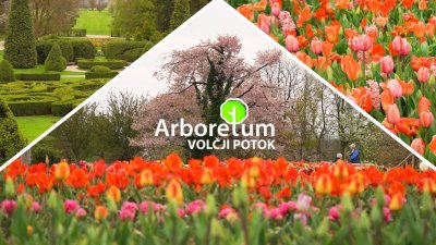 VIDEO Volčji potok: Najposjećeniji botanički vrt u Sloveniji