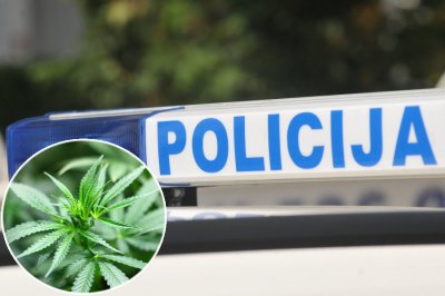 Ludbreška policija u pretrazi stana pronašla marihuanu i amfetamin