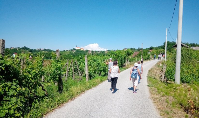 Dan otvorenih podruma: Vinički vinogradari pozivaju na pješački pohod od kleti do kleti