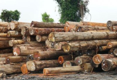 RECESIJA Drvna industrija bilježi pad poslovanja koji je najvidiljivi na tržištu podnih obloga