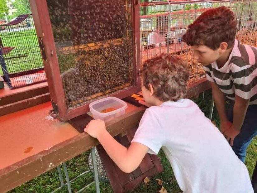 FOTO Na izložbi malih životinja ivanečke udruge Fauna glavna atrakcija bile - pčele!