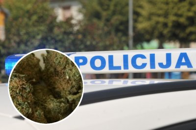 Ludbreški policajci kod 20-godišnjakinje našli marihuanu