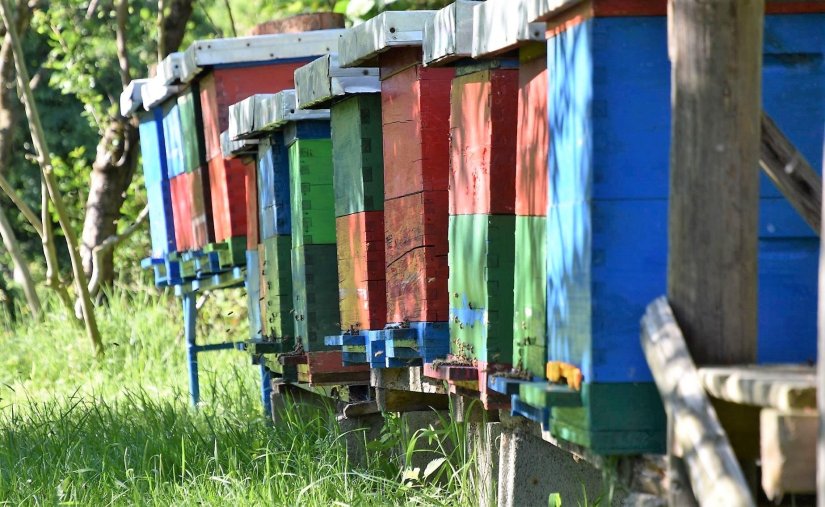 Pomoć pčelarima s područja općine Sveti Ilija