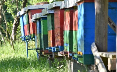 Pomoć pčelarima s područja općine Sveti Ilija