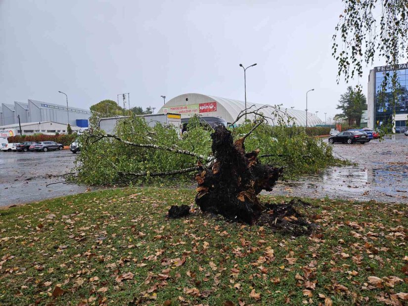 FOTO Nevrijeme zahvatilo Varaždin, vjetar srušio drvo kod Tehnološkog parka