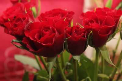 Valentinovo sve bliže: Općina Jalžabet darivat će parove koji slave 50 ili više godina braka!