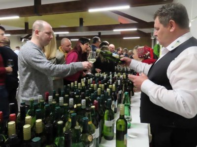 Raj za vinoljupce: u Ludbregu sutra 31. Međunarodna izložba mladih vina