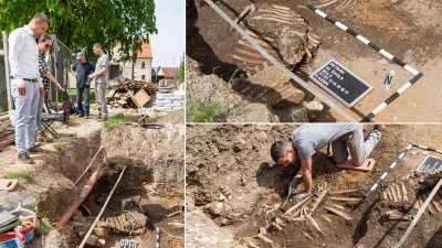 FOTO: Novo nalazište u Petrijancu, ispred Stare škole pronađene životinjske kosti