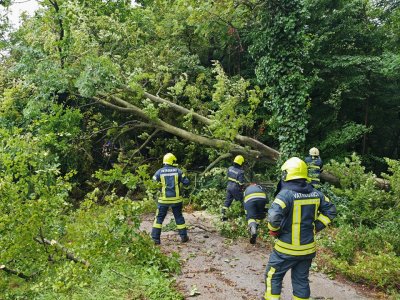 FOTO Nevrijeme u Varaždinskoj županiji rušilo stabla