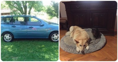 U Biškupcu jutros ukraden auto, u kojem je bio i pas; vlasnica traži pomoć!