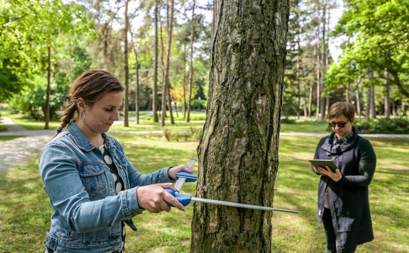 PARKOVI Moderni katastarski sustav Europskog grada stabala