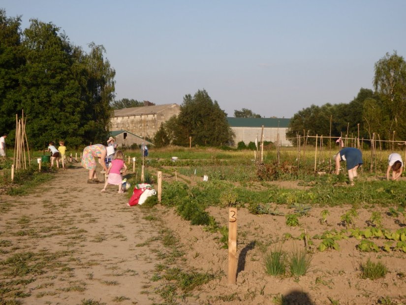 &quot;VAROŠKI VRTOVI&quot; Nemate vrt? Grad Ludbreg ima rješenje za to!