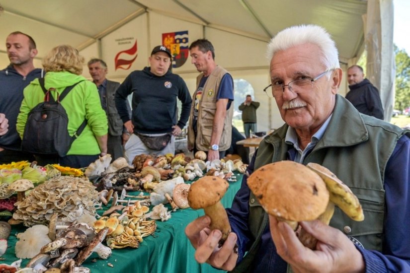 Dani vrganja se odgađaju za tjedan dana zbog nepovoljne vremenske prognoze