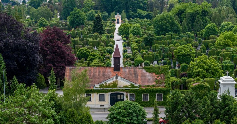 PARKOVI Ustrajan rad na očuvanju zelenila varaždinskoga Gradskog groblja