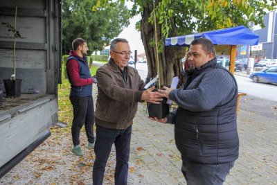 Grad Ivanec građanima darovao novih 150 mladih kloniranih lipa, dosad ih je podijeljeno ukupno 720