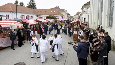 Tradicionalna manifestacija „Bez zelja nema veselja“ ponovno donosi domaće okuse u Šenoinu