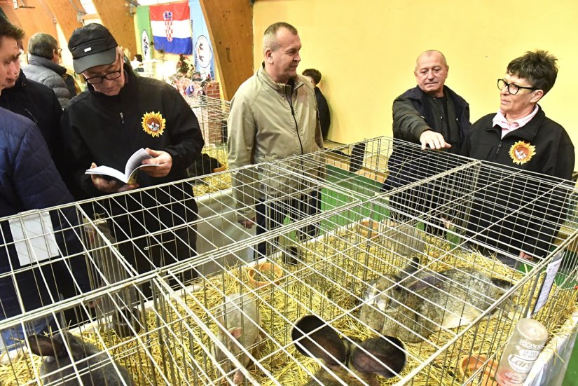 FOTO U Graberju održana Međunarodna izložba malih životinja