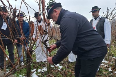 FOTO Uspješno održano tradicionalno Vincekovo u Gornjem Martijancu