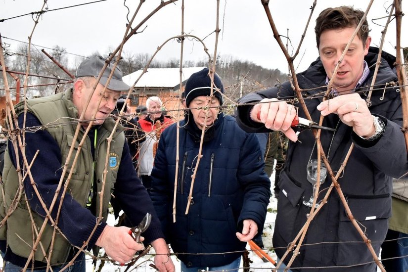 Tradicionalno Vincekovo u Vinici 22. siječnja, domaćin obitelj Mašić