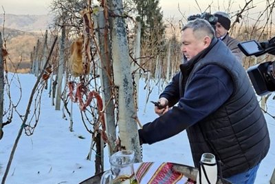 Grad Varaždinske Toplice pomaže daljnji razvoj vinogradarstva i vinarstva