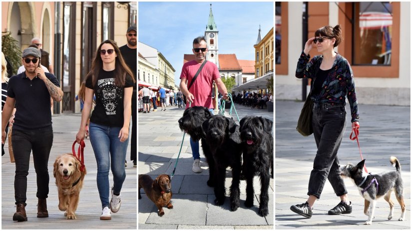 FOTO Svibanj započeo u ljetnom ruhu; zvijezde špancirunga - četveronožni ljubimci