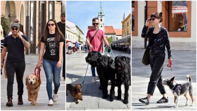 FOTO Svibanj započeo u ljetnom ruhu; zvijezde špancirunga - četveronožni ljubimci