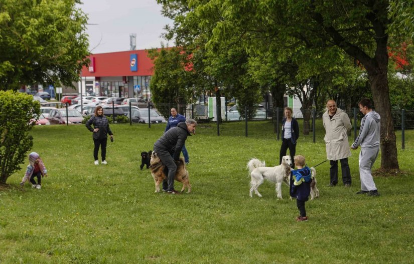 IVANEC Otvoren park za kućne ljubimce