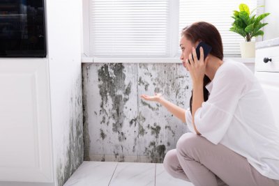 I-VENT ”Nakon ugradnje i-Vent sustava, plijesan nam se više nije vraćala”
