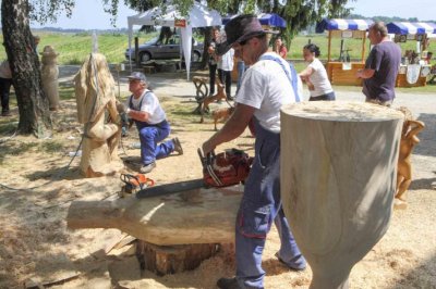 Više od 17 umjetnika na 10. hrvatskom festivalu kiparenja motornom pilom