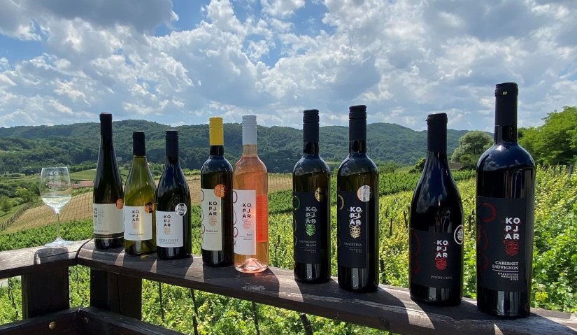 Decanter 2025.: Vinima vinarija iz Varaždinske županije 40 medalja