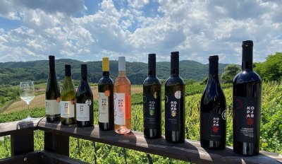 Decanter 2025.: Vinima vinarija iz Varaždinske županije 40 medalja