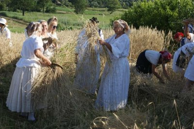 Za vikend u Trnovcu Bartolovečkom Žetvene svečanosti i Petrovo