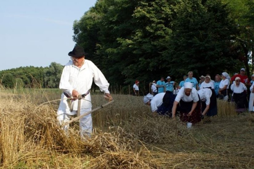 Vikend u Općini Trnovec Bartolovečki: Žetvene svečanosti, Fijakeri i proštenje