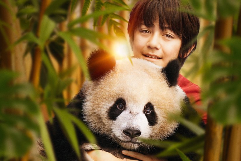 Dijelimo ulaznice za film &quot;Moon: Veliki panda&quot; u CineStaru Varaždin