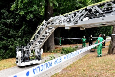 FOTO Dio Jagićevog parka zatvoren zbog rušenja grane na stablu