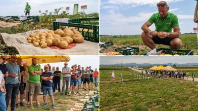 VIDEO Uz kvalitetne sorte, mjere i navodnjavanje, prinosi odlični i u klimatski teškim godinama